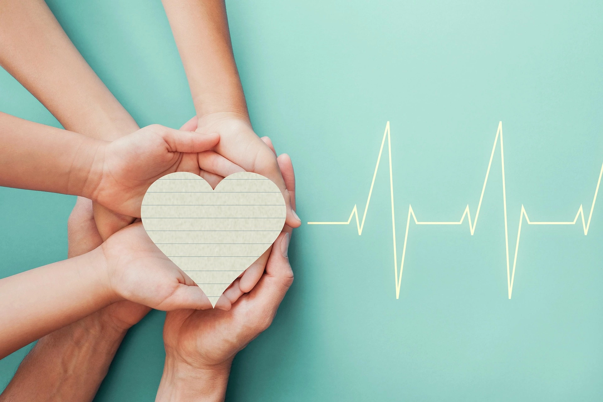 A pair of hands grasp a heart-shaped paper with a heartbeat line, representing affection and life. A pair of hands grasp a heart-shaped paper with a heartbeat line, representing affection and life.